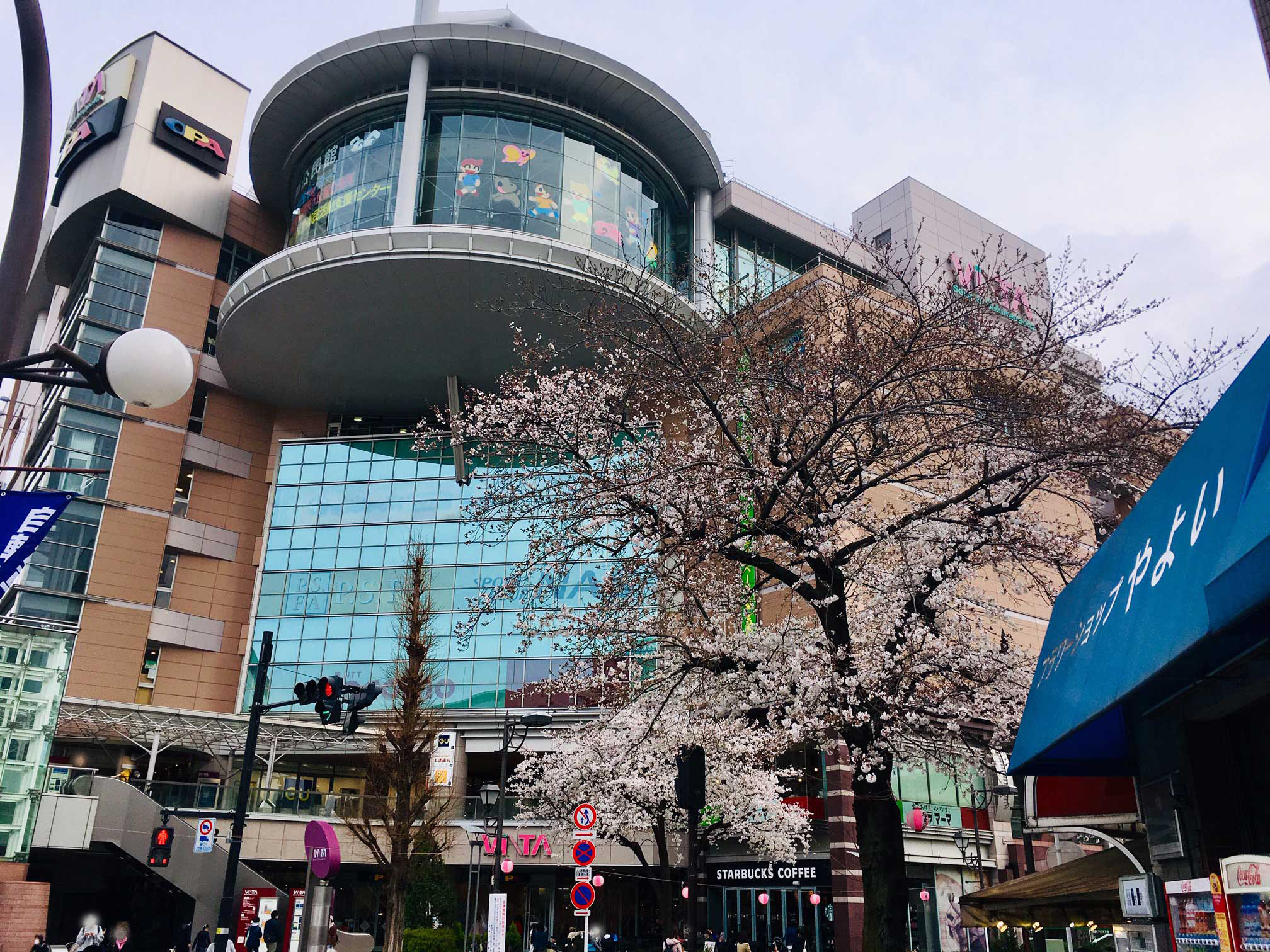 せいせき桜まつり会場の関戸公民館