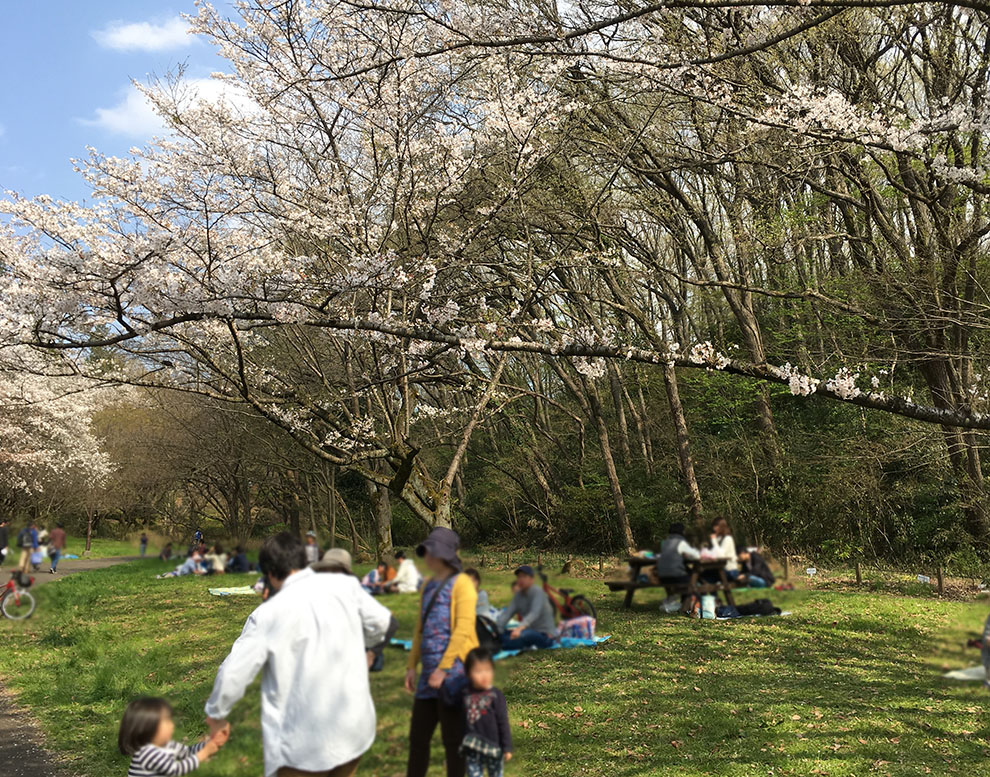 都立桜ヶ丘公園風景