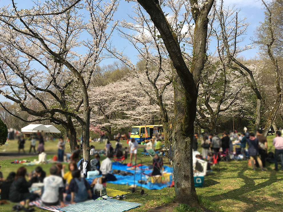 桜ヶ丘公園祭りを楽しむ人々