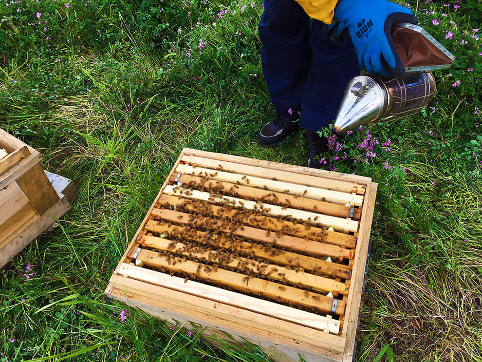 第６回大丸用水れんげまつり養蜂体験