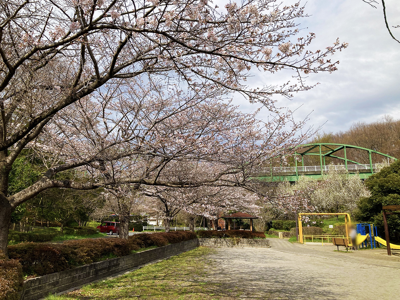 都立桜ヶ丘公園