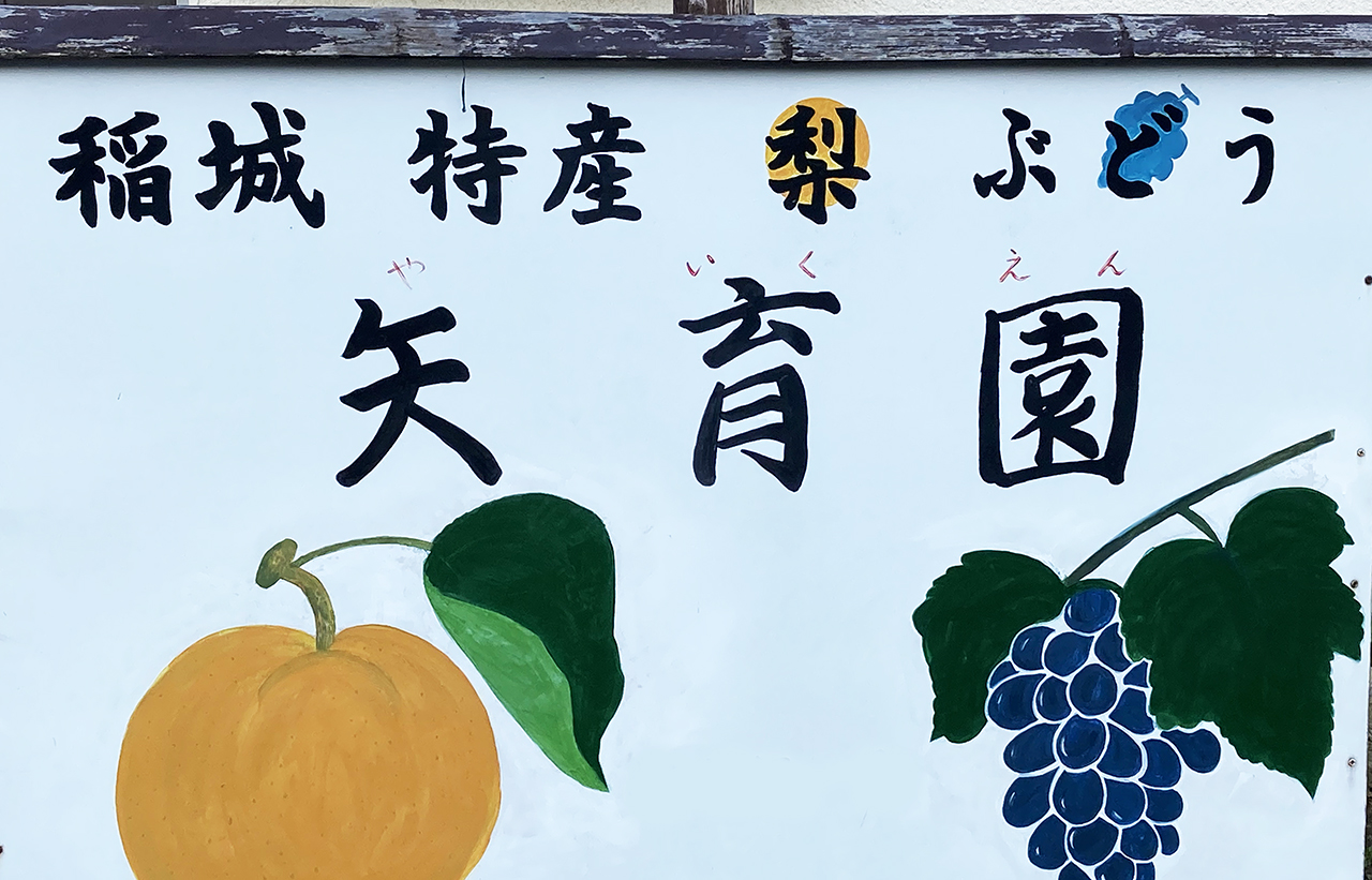 シューイチで稲城市の梨や高尾ぶどうなどが紹介されました！