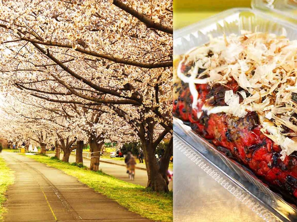 多摩川河川敷の桜が見頃に！花と山形郷土料理どんどん焼きを堪能♪