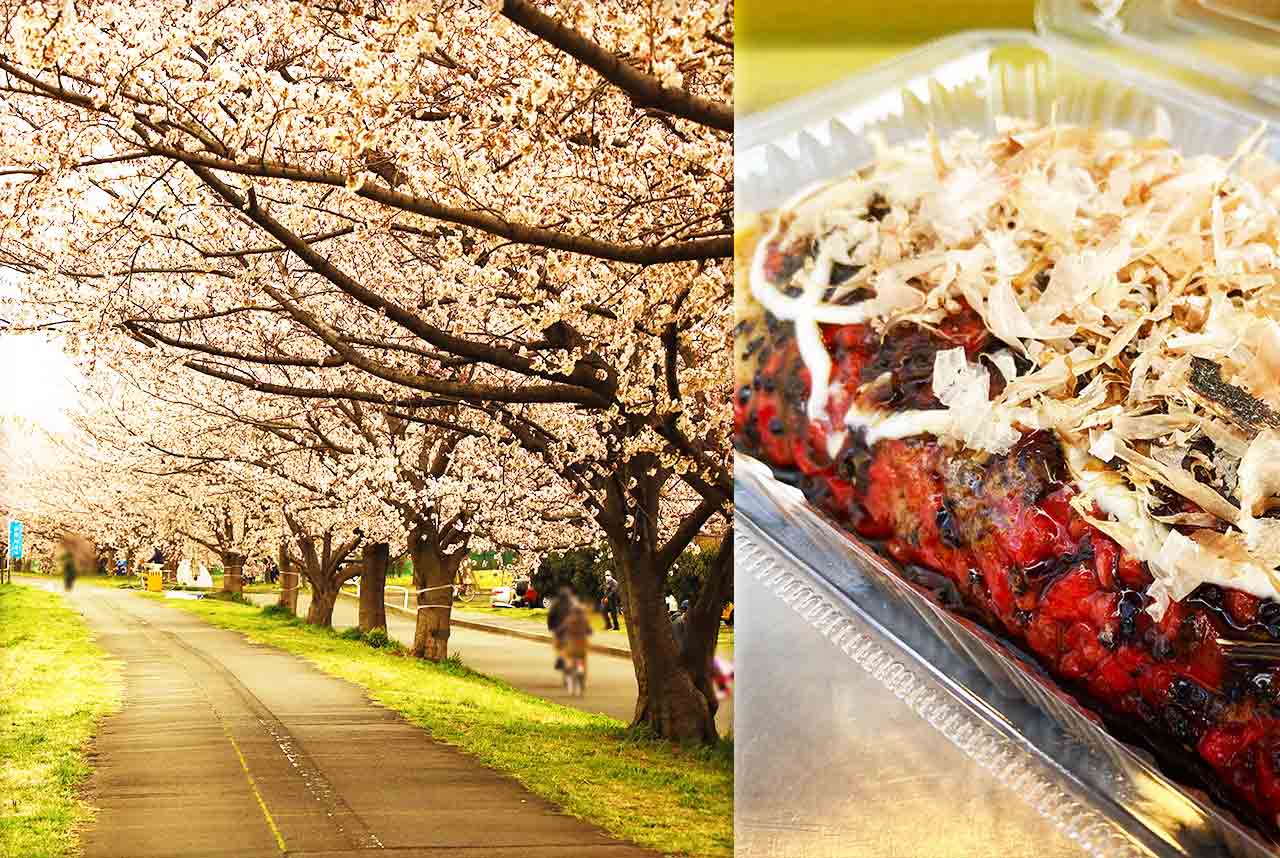 多摩川河川敷の桜が見頃に！花と山形郷土料理どんどん焼きを堪能♪