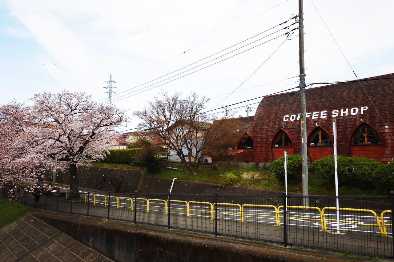 永山〜聖蹟桜ヶ丘エリアの桜散歩♪グルメと共にフォトレポート！