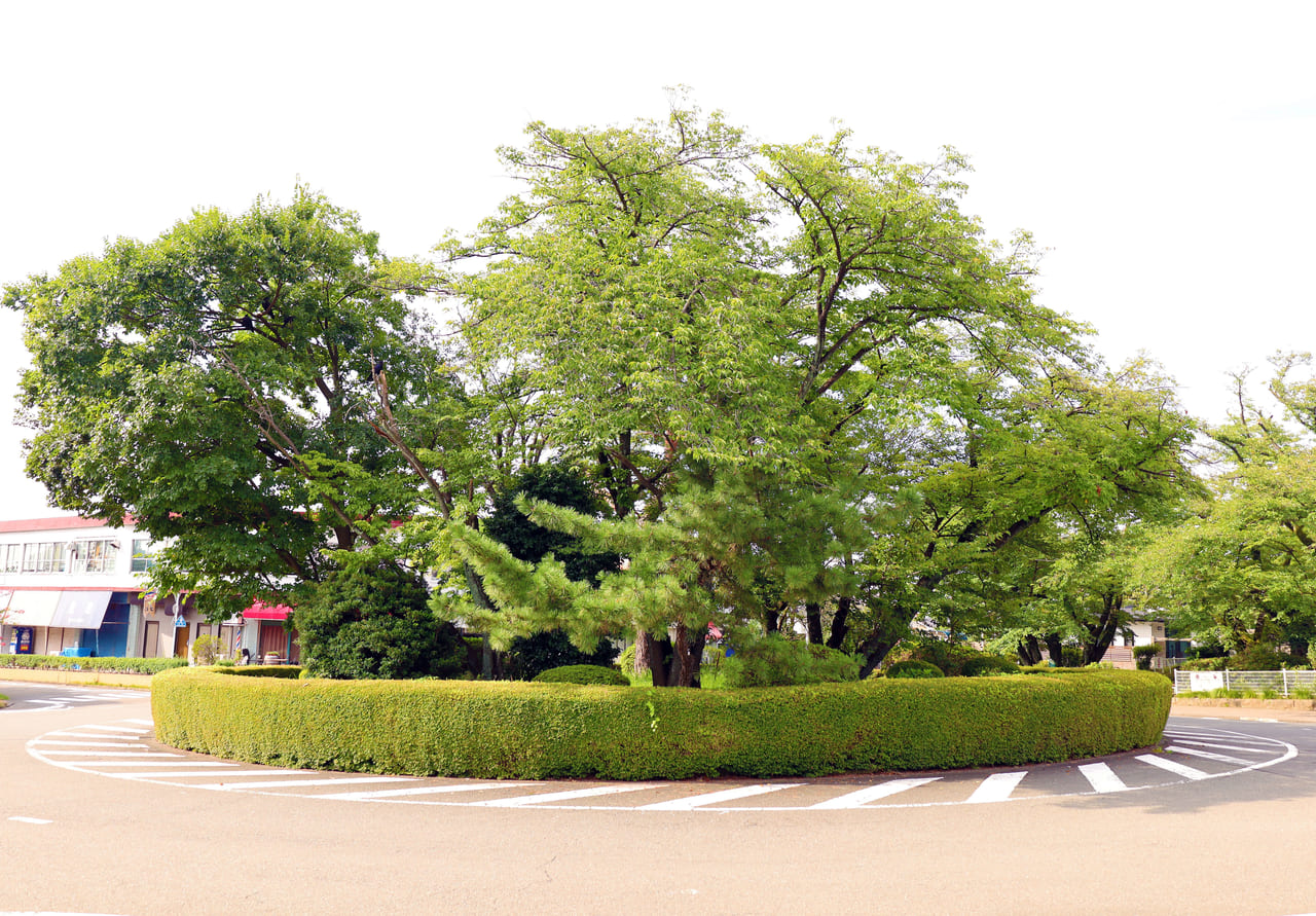 ジブリ映画「耳をすませば」のモデル地と言われる聖蹟桜ヶ丘をめぐってきました！