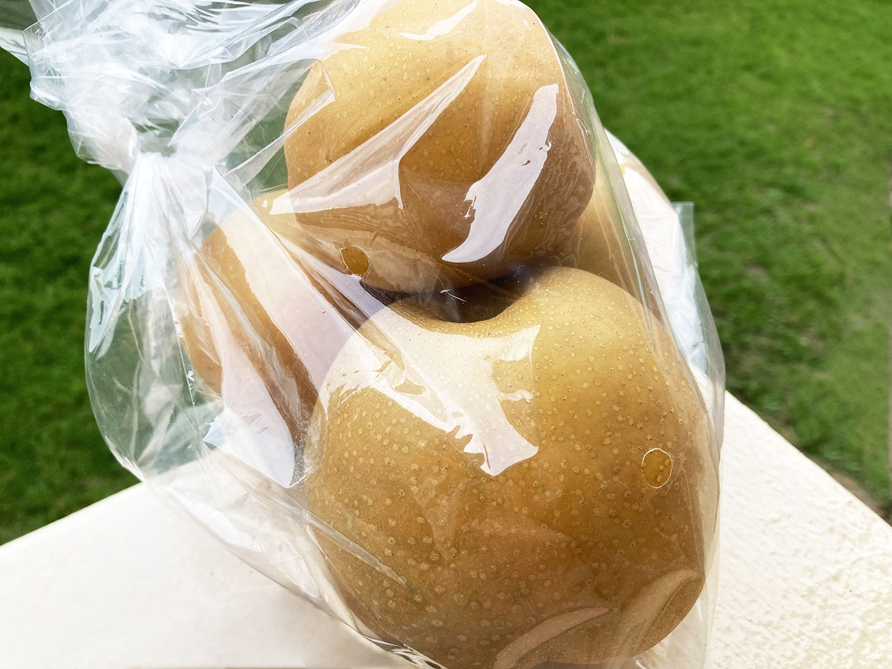 みぃつけた！「高尾ぶどう」の販売が始まっています♪ 梨とぶどうを探して稲城市内をめぐってきました！