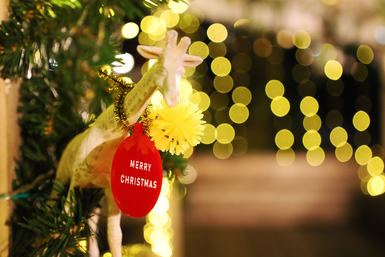 J Smile多摩八角堂でクリスマス準備♪「イルミネーション＆クリスマス 」開催！12/10(土)から２日間「クリスマスマーケット」も！