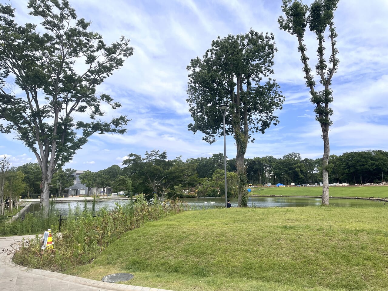 多摩中央公園