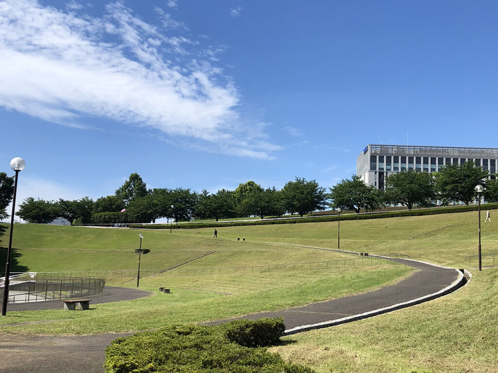 若葉台公園の昼