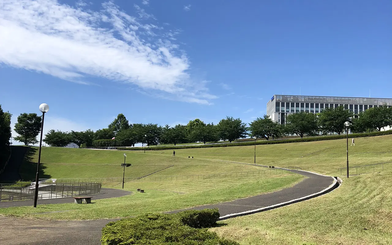 若葉台公園の昼