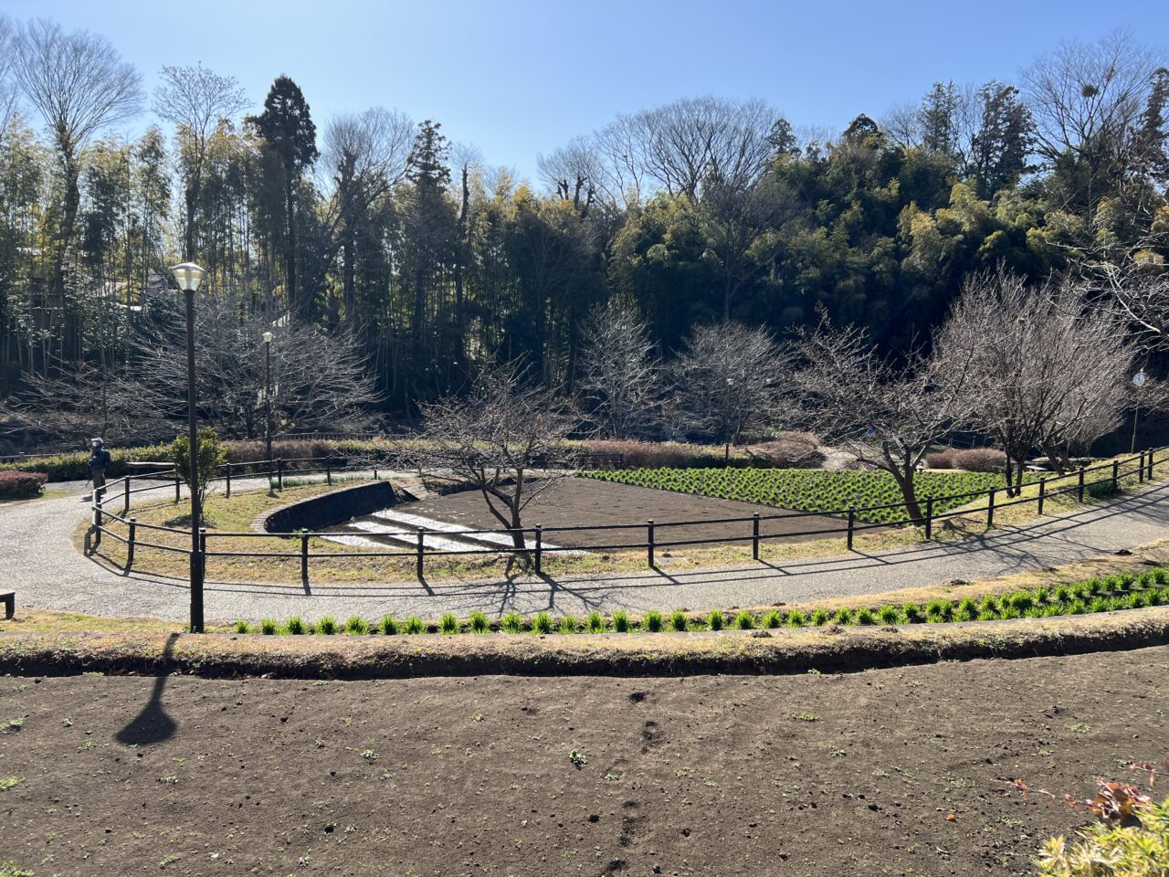 親水公園の様子