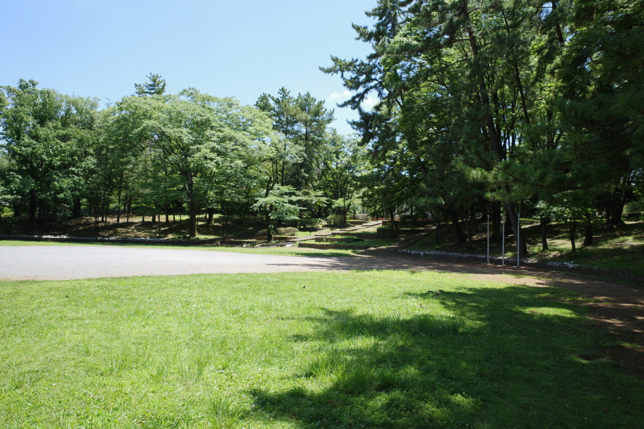 緑が広がる平尾近隣公園