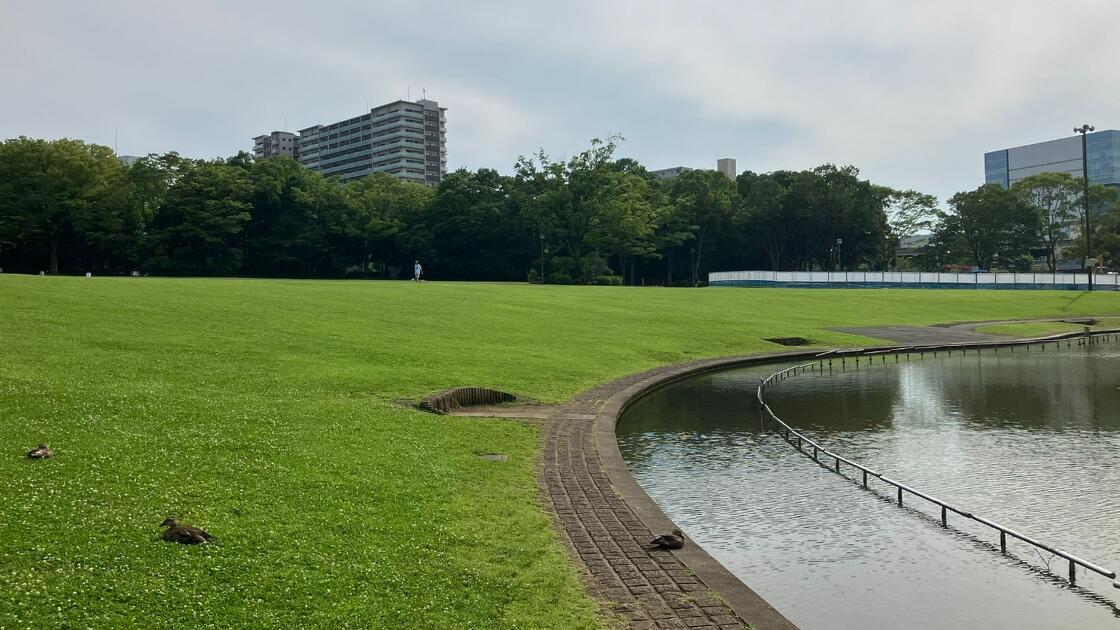 多摩中央公園の遊びの森で開催されるプレーパーク