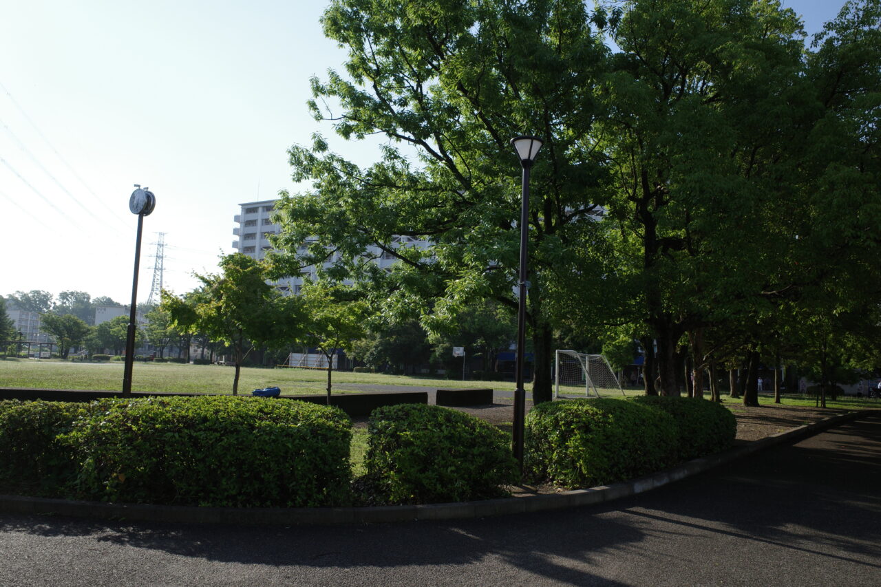 永山南公園の様子