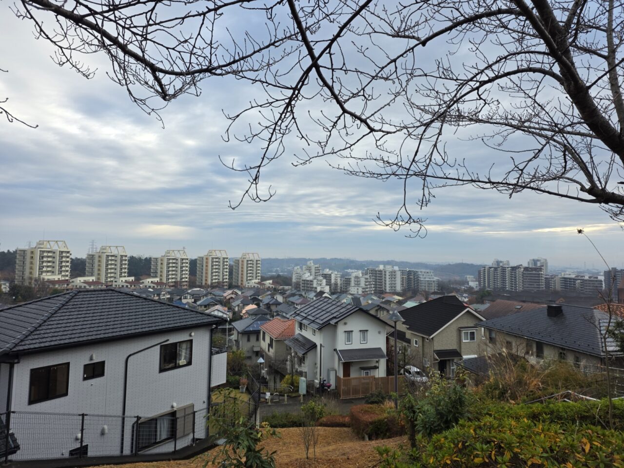 多摩市・稲城市の穴場初日の出スポット