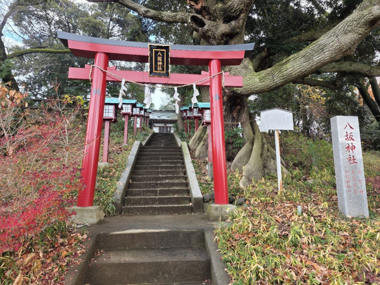 稲城市と多摩市の市境付近にある八坂神社