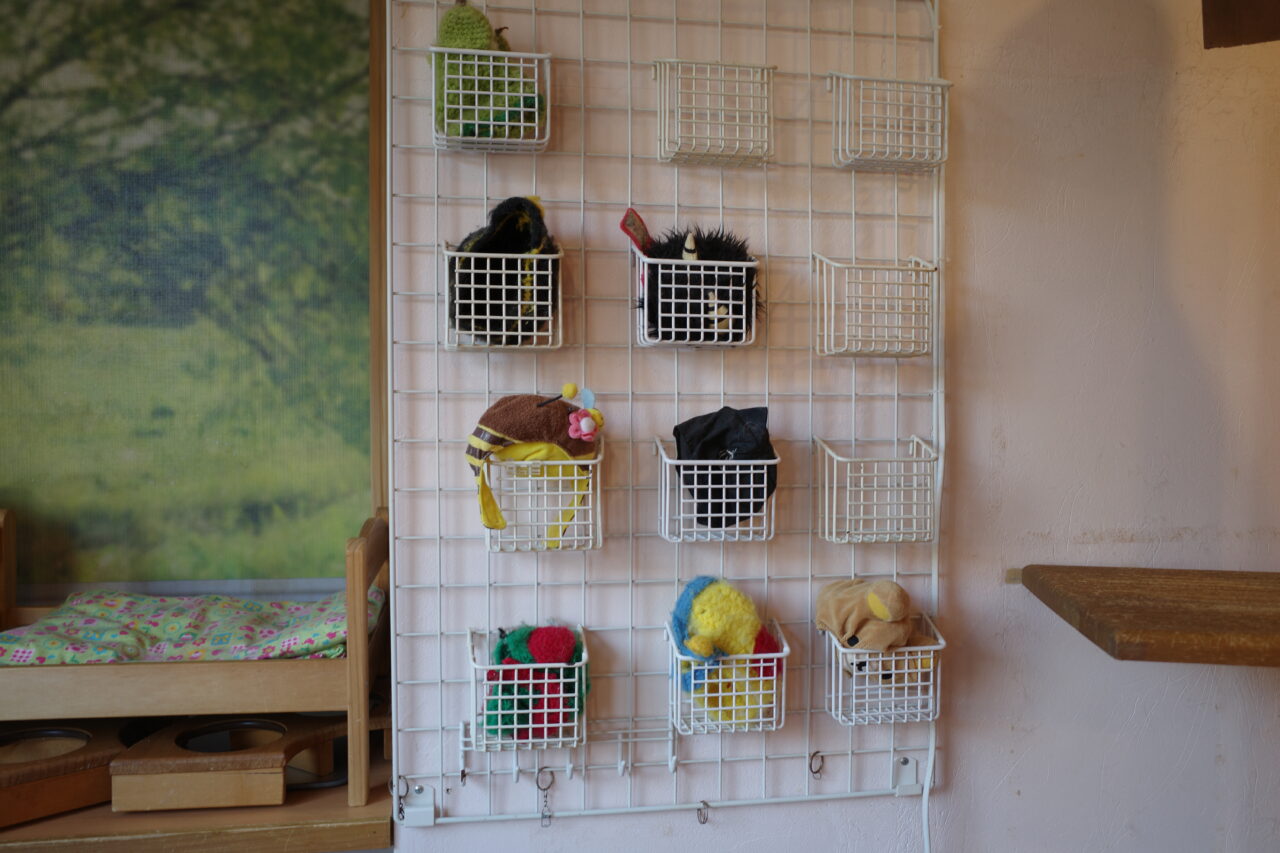 たまねこには備え付けのおもちゃもたくさんあります