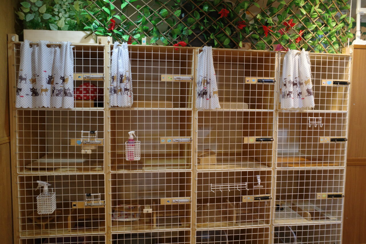 たまねこのペットホテル