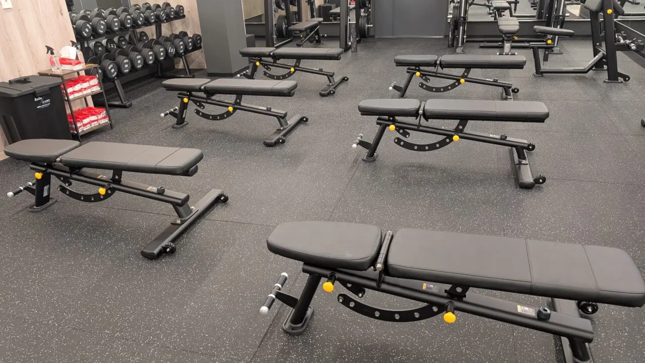 fitplace24-wakabadai-bench