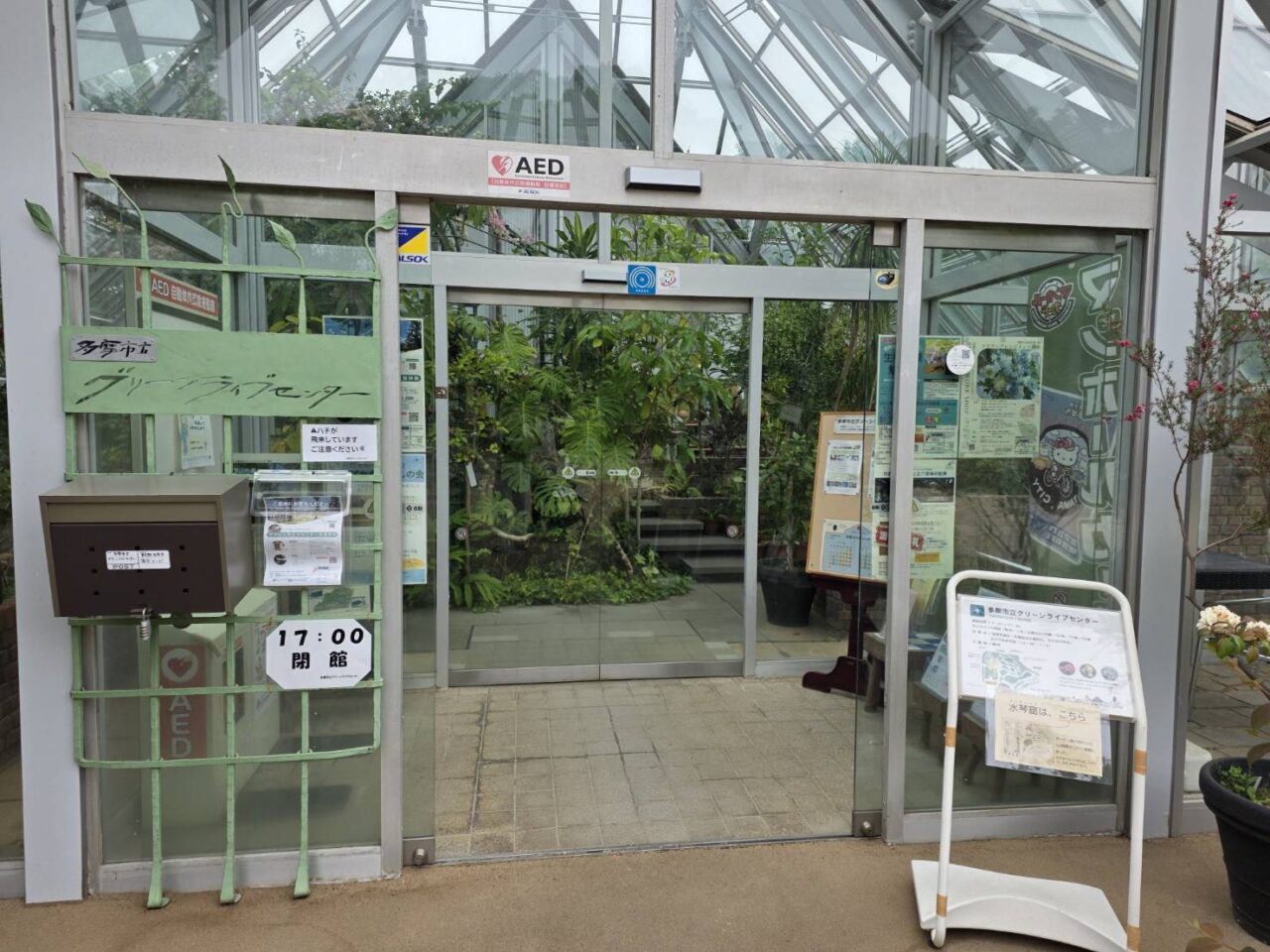 tamacenter_green_live_center