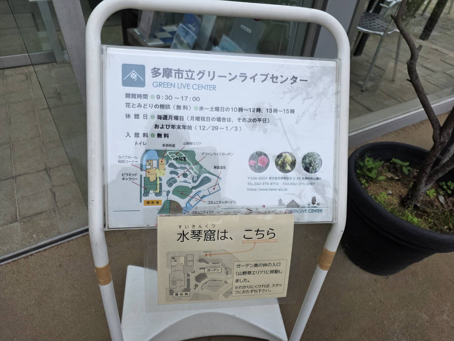 tamacenter_green_live_center