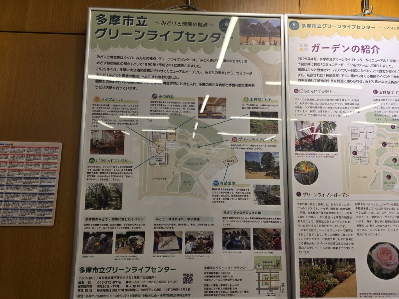 tamacenter_green_live_center
